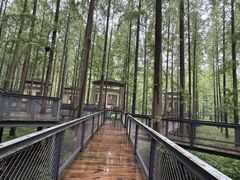 -黄海国家森林公园