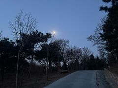 -北京西山国家森林公园