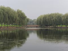 -东坝千亩湖公园