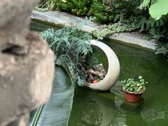 -漫笙舍Manse·咖啡·民宿