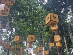 -广西壮族自治区药用植物园