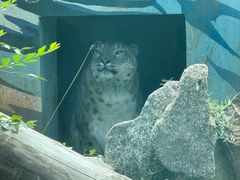-青藏高原野生动物园