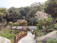 -天鹿湖森林公园