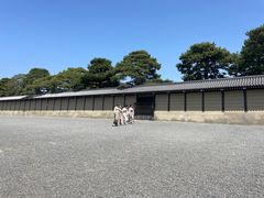 -京都御所