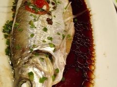 -复旦大学本部-食堂
