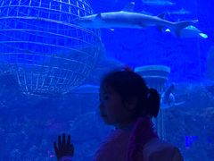 -芜湖新华联大白鲸海洋公园