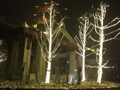 -仁爱团泊湖温泉中心