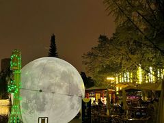 -成都市活水公园