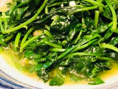 -新东新.融合菜