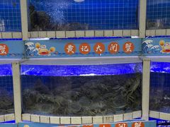 -黄记大闸蟹专卖店·活蟹·醉蟹