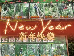 -西双版纳原始森林公园