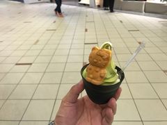-台场海滨公园船码头