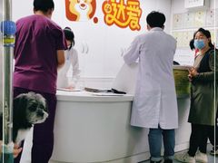 -达爱动物医院·犬猫分区·CT·复杂眼科(远洋山水分院)