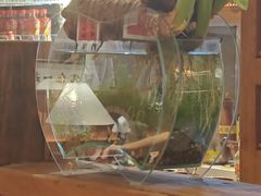 -巴卤社老火锅(财富店)