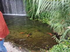 -千岛湖东南湖区