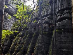 -梭布垭石林景区