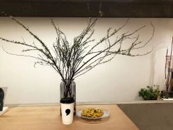 -Y-STUDIO原理