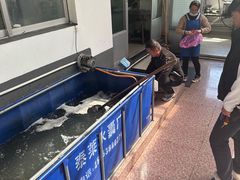 -美顺香食府鱼头老店(雪野湖店)