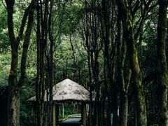 -黄山翡翠谷景区