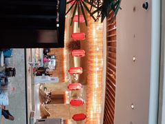 -济南喜来登酒店-盛宴自助西餐厅·综合自助