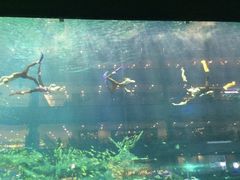 -成都浩海立方海洋公园