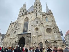 -斯蒂芬主教座堂(Stephansdom)