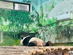 -黔灵山公园