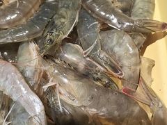 -新希望诺富特酒店-青岛湾中餐厅
