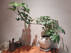 -真地道京味府·鲜橙烤鸭·北京菜(朝外大街东大桥店)