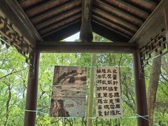 -上海佘山国家森林公园天马山园