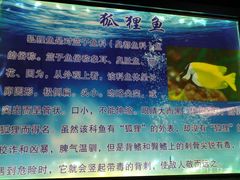 景点-嘉兴海底世界