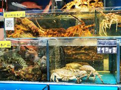 -岳各庄批发市场(西四环中路店)