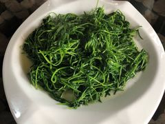 -阿兰白家宴