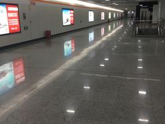 -杨高南路(地铁站)