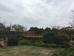 -新江湾城公园