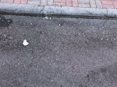 -九河居(荔湾路店)
