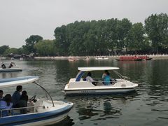 -永定河休闲森林公园