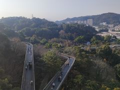 -福道
