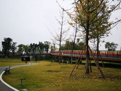 -府河摄影公园
