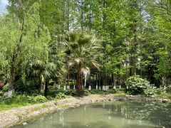 -苏州河梦清园环保主题公园