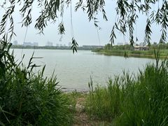 -水西公园