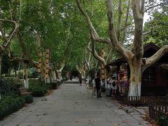 -杭州黄龙洞