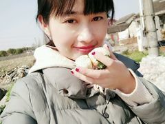 -喜杨洋草莓采摘园