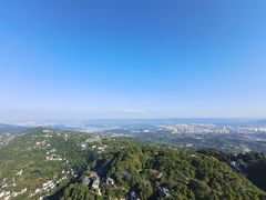 -大金鹰园