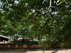 -李东农庄(中南百草园地标店)