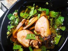 美蛙-销魂美蛙鱼头火锅(上海首店)