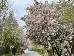 -石家庄市植物园