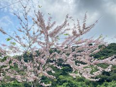 -马峦山郊野公园