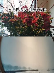 -美玫美容SPA护理中心