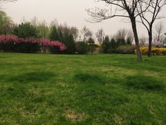 -北坞公园